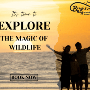 Sunset & Firefly Cruise