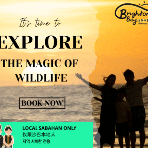 Sunset & Firefly Cruise – Exclusive for Local Sabahans!