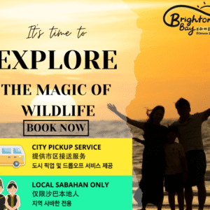 Sunset & Firefly Cruise – Exclusive for Local Sabahans! (🚐 City Pickup Included)